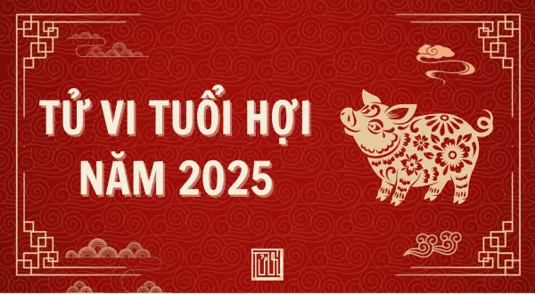 Tử Vi Tuổi Hợi Năm 2025 Dự Báo Vận Hạn Và Cơ Hội Nổi Bật